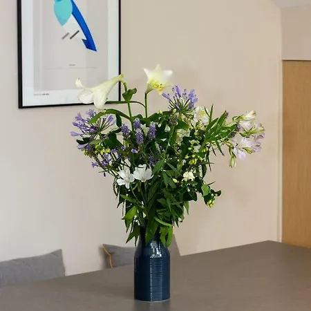 La Noctambulle Forum *